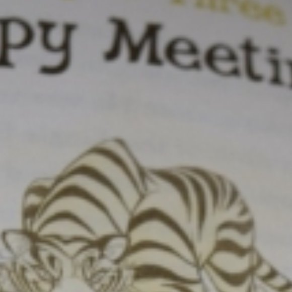 Children SUMMER READING Bundle:  Disney's Golden Paw and Ramona the Brave - Picture 5 of 8